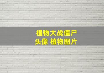 植物大战僵尸头像 植物图片